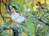 Blossoming Apple Tree 2015. Watercolour