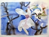 Magnolia 2015. Watercolour