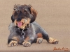 Chico 2011. Oil